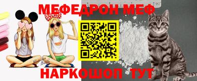 гашик Кингисепп