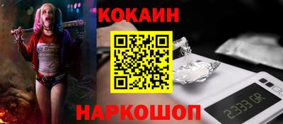 гашик Кингисепп