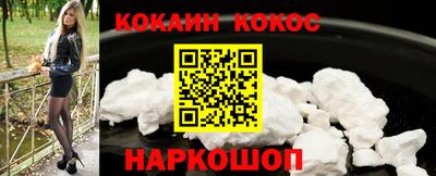 гашик Кингисепп