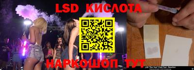 гашик Кингисепп