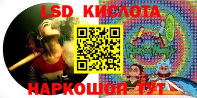 гашик Кингисепп