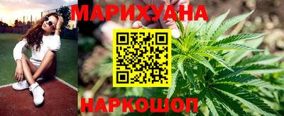 гашик Кингисепп