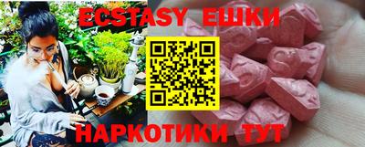 гашик Кингисепп