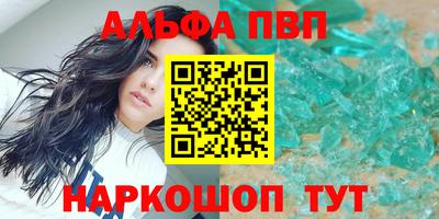 гашик Кингисепп