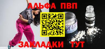 гашик Кингисепп